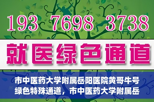 市中医药大学附属岳阳医院黄哥牛号绿色特殊通道，市中医药大学附属岳阳医院黄哥牛号，绿色特殊通道开启健康之门