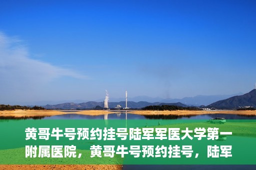 黄哥牛号预约挂号陆军军医大学第一附属医院，黄哥牛号预约挂号，陆军军医大学第一附属医院就医新体验