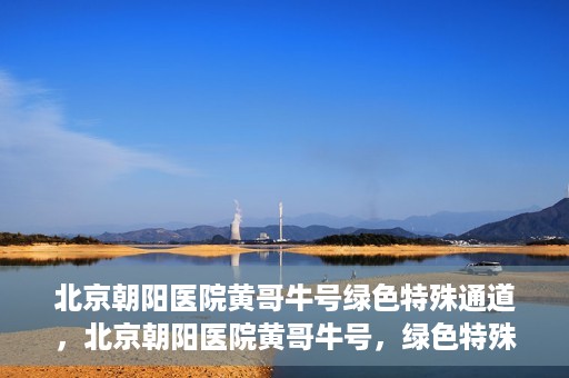 北京朝阳医院黄哥牛号绿色特殊通道，北京朝阳医院黄哥牛号，绿色特殊通道开启健康之门