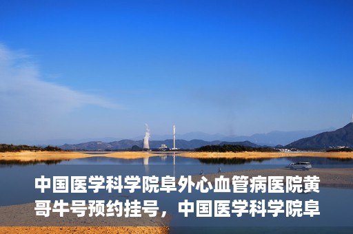 中国医学科学院阜外心血管病医院黄哥牛号预约挂号，中国医学科学院阜外心血管病医院黄哥牛号预约挂号指南，轻松挂号，健康无忧！