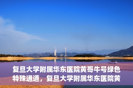 复旦大学附属华东医院黄哥牛号绿色特殊通道，复旦大学附属华东医院黄哥牛号，绿色特殊通道开启健康之门