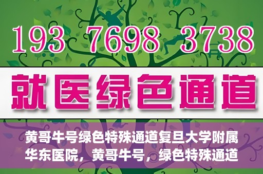黄哥牛号绿色特殊通道复旦大学附属华东医院，黄哥牛号，绿色特殊通道揭秘，华东医院新篇章开启