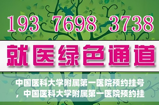 中国医科大学附属第一医院预约挂号，中国医科大学附属第一医院预约挂号指南，一站式解决您的就医难题