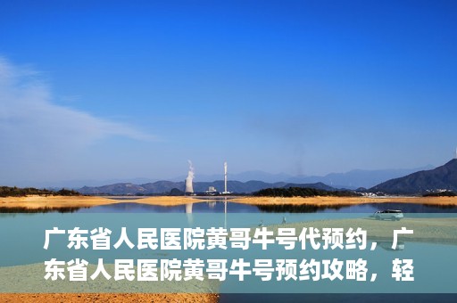 广东省人民医院黄哥牛号代预约，广东省人民医院黄哥牛号预约攻略，轻松掌握预约流程