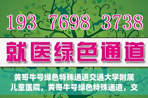 黄哥牛号绿色特殊通道交通大学附属儿童医院，黄哥牛号绿色特殊通道，交通大学附属儿童医院的探索与实践