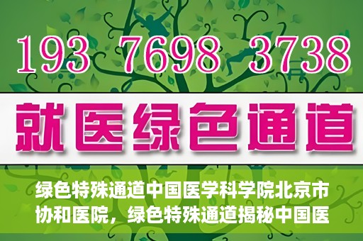 绿色特殊通道中国医学科学院北京市协和医院，绿色特殊通道揭秘中国医学科学院北京市协和医院的力量与担当