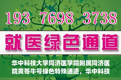 华中科技大学同济医学院附属同济医院黄哥牛号绿色特殊通道，华中科技大学同济医院黄哥牛号绿色特殊通道揭秘