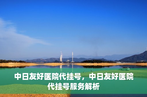 中日友好医院代挂号，中日友好医院代挂号服务解析