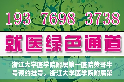 浙江大学医学院附属第一医院黄哥牛号预约挂号，浙江大学医学院附属第一医院黄哥牛号预约挂号攻略详解