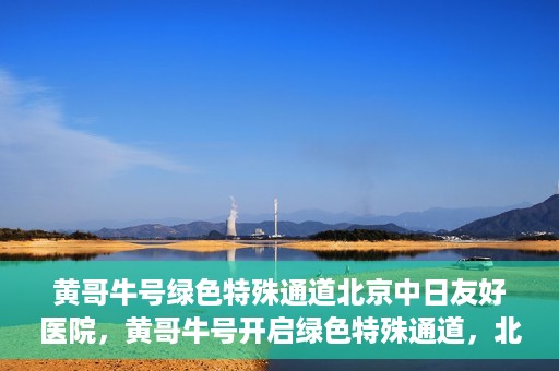 黄哥牛号绿色特殊通道北京中日友好医院，黄哥牛号开启绿色特殊通道，北京中日友好医院助力健康之路