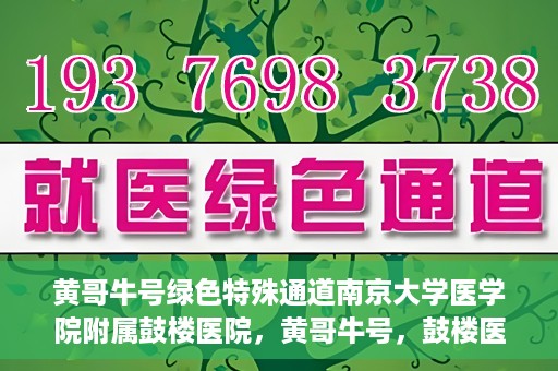 黄哥牛号绿色特殊通道南京大学医学院附属鼓楼医院，黄哥牛号，鼓楼医院开启绿色特殊通道助力健康之路