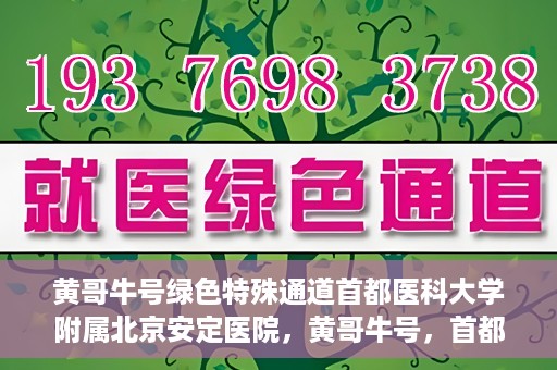 黄哥牛号绿色特殊通道首都医科大学附属北京安定医院，黄哥牛号，首都医科大学附属北京安定医院的绿色特殊通道揭秘