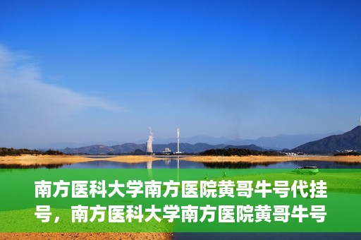 南方医科大学南方医院黄哥牛号代挂号，南方医科大学南方医院黄哥牛号挂号攻略，轻松解决代挂号问题