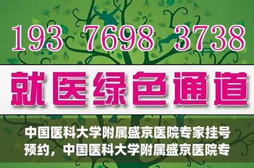 中国医科大学附属盛京医院专家挂号预约，中国医科大学附属盛京医院专家挂号预约攻略，一站式预约服务解析