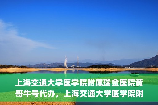 上海交通大学医学院附属瑞金医院黄哥牛号代办，上海交通大学医学院附属瑞金医院黄哥牛号预约代办服务