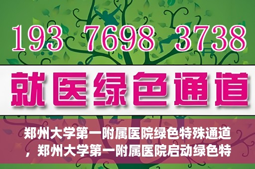 郑州大学第一附属医院绿色特殊通道，郑州大学第一附属医院启动绿色特殊通道，助力患者高效就医