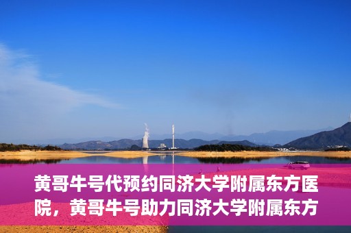 黄哥牛号代预约同济大学附属东方医院，黄哥牛号助力同济大学附属东方医院预约服务开启