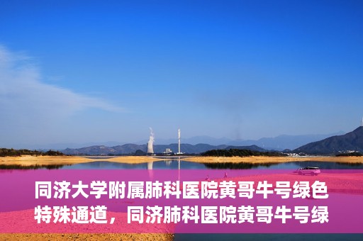 同济大学附属肺科医院黄哥牛号绿色特殊通道，同济肺科医院黄哥牛号绿色特殊通道揭秘