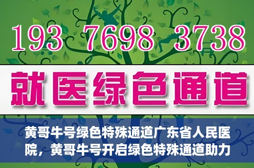 黄哥牛号绿色特殊通道广东省人民医院，黄哥牛号开启绿色特殊通道助力广东省人民医院服务升级