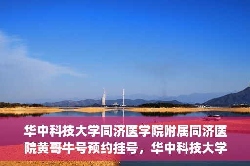 华中科技大学同济医学院附属同济医院黄哥牛号预约挂号，华中科技大学同济医院黄哥牛号预约挂号攻略