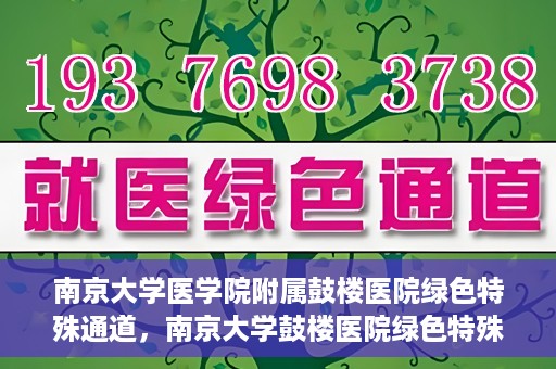 南京大学医学院附属鼓楼医院绿色特殊通道，南京大学鼓楼医院绿色特殊通道，健康守护的新路径