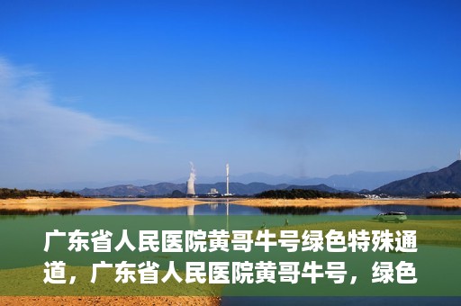 广东省人民医院黄哥牛号绿色特殊通道，广东省人民医院黄哥牛号，绿色特殊通道开启健康之门