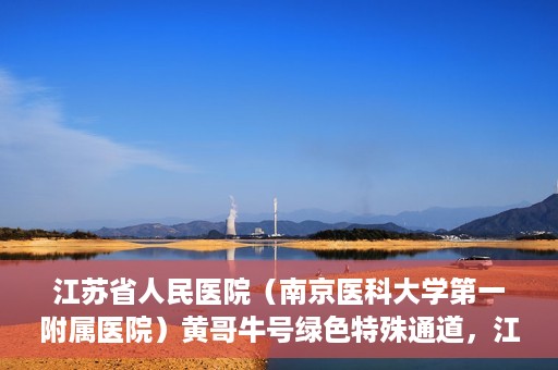 江苏省人民医院（南京医科大学第一附属医院）黄哥牛号绿色特殊通道，江苏省人民医院绿色特殊通道，黄哥牛号的医疗速度与温情服务