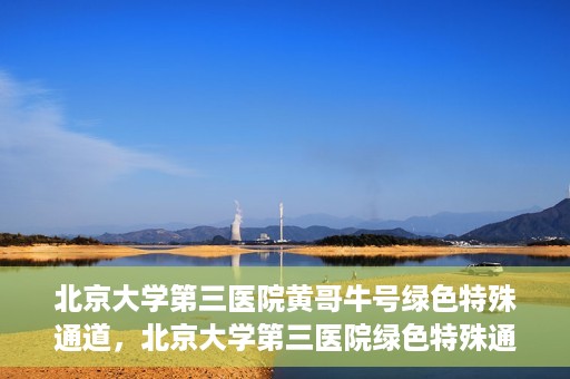 北京大学第三医院黄哥牛号绿色特殊通道，北京大学第三医院绿色特殊通道，黄哥牛号的探索与实践