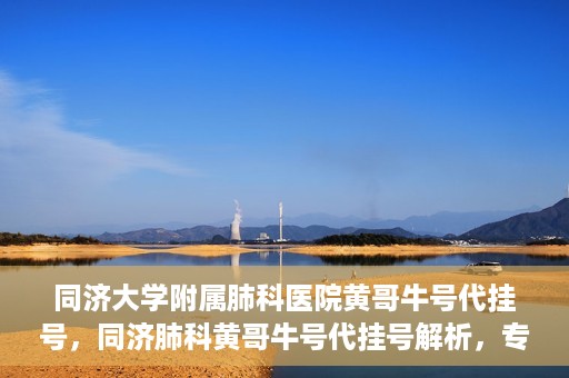 同济大学附属肺科医院黄哥牛号代挂号，同济肺科黄哥牛号代挂号解析，专业医疗服务的深度解读