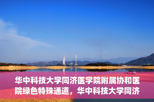 华中科技大学同济医学院附属协和医院绿色特殊通道，华中科技大学同济医学院附属协和医院，绿色特殊通道的探索与实践