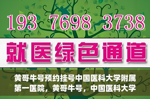 黄哥牛号预约挂号中国医科大学附属第一医院，黄哥牛号，中国医科大学附属第一医院预约挂号服务启动