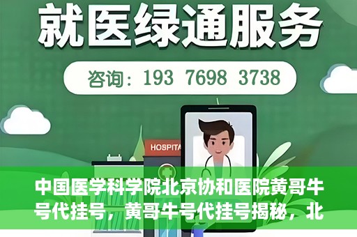 中国医学科学院北京协和医院黄哥牛号代挂号，黄哥牛号代挂号揭秘，北京协和医院挂号背后的故事