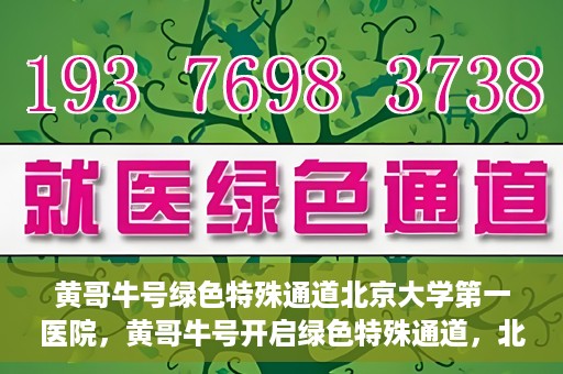 黄哥牛号绿色特殊通道北京大学第一医院，黄哥牛号开启绿色特殊通道，北京大学第一医院全力护航健康之路