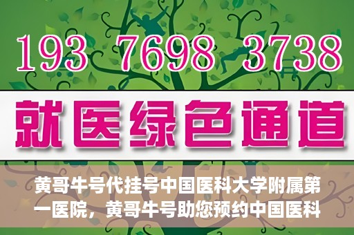 黄哥牛号代挂号中国医科大学附属第一医院，黄哥牛号助您预约中国医科大学附属第一医院专家号