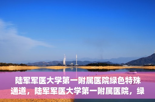 陆军军医大学第一附属医院绿色特殊通道，陆军军医大学第一附属医院，绿色特殊通道开启生命之门