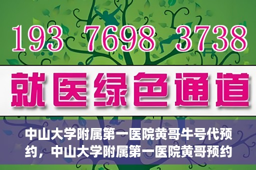 中山大学附属第一医院黄哥牛号代预约，中山大学附属第一医院黄哥预约挂号攻略，轻松预约牛号代预约服务