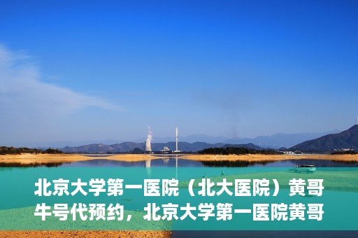 北京大学第一医院（北大医院）黄哥牛号代预约，北京大学第一医院黄哥牛号预约服务解析