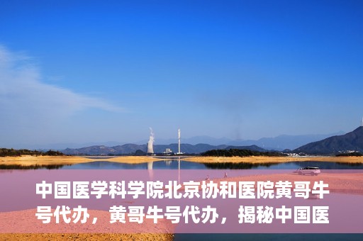 中国医学科学院北京协和医院黄哥牛号代办，黄哥牛号代办，揭秘中国医学科学院北京协和医院背后的故事