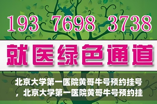 北京大学第一医院黄哥牛号预约挂号，北京大学第一医院黄哥牛号预约挂号攻略，轻松挂号，无忧就医体验