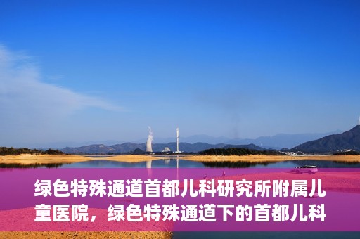绿色特殊通道首都儿科研究所附属儿童医院，绿色特殊通道下的首都儿科研究所附属儿童医院