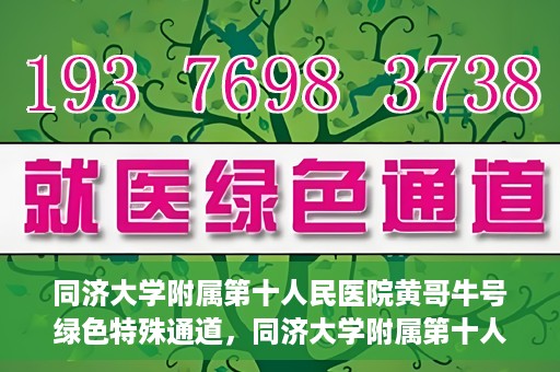 同济大学附属第十人民医院黄哥牛号绿色特殊通道，同济大学附属第十人民医院黄哥牛号，绿色特殊通道开启健康之门