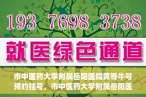 市中医药大学附属岳阳医院黄哥牛号预约挂号，市中医药大学附属岳阳医院黄哥牛号预约挂号攻略