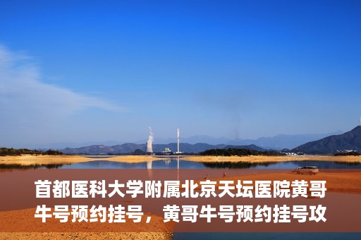 首都医科大学附属北京天坛医院黄哥牛号预约挂号，黄哥牛号预约挂号攻略，北京天坛医院就医指南