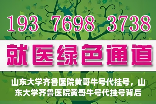 山东大学齐鲁医院黄哥牛号代挂号，山东大学齐鲁医院黄哥牛号代挂号背后的故事与探索