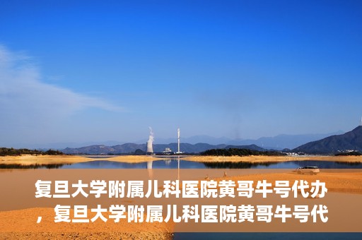 复旦大学附属儿科医院黄哥牛号代办，复旦大学附属儿科医院黄哥牛号代办，一站式服务详解