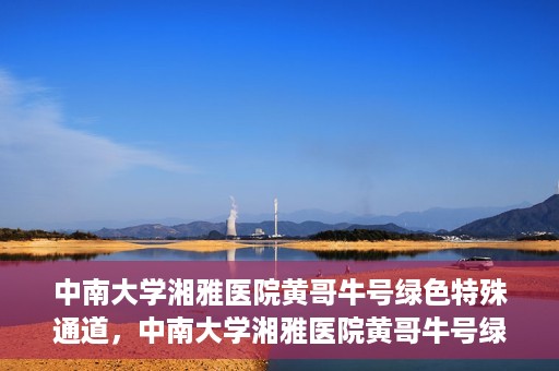中南大学湘雅医院黄哥牛号绿色特殊通道，中南大学湘雅医院黄哥牛号绿色特殊通道，医疗服务的创新实践与人文关怀的体现