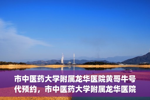 市中医药大学附属龙华医院黄哥牛号代预约，市中医药大学附属龙华医院黄哥牛号预约服务启动