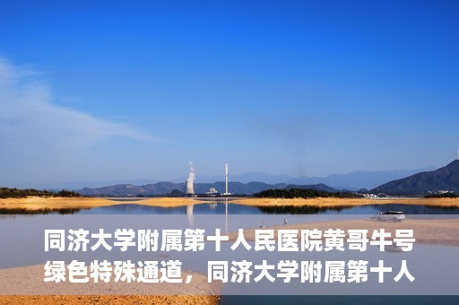 同济大学附属第十人民医院黄哥牛号绿色特殊通道，同济大学附属第十人民医院黄哥牛号，绿色特殊通道开启健康之门