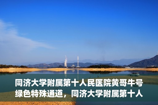 同济大学附属第十人民医院黄哥牛号绿色特殊通道，同济大学附属第十人民医院黄哥牛号，绿色特殊通道开启健康之门
