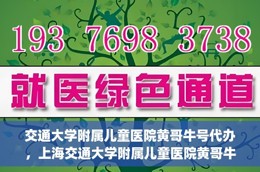 交通大学附属儿童医院黄哥牛号代办，上海交通大学附属儿童医院黄哥牛号代办揭秘，真相与警示